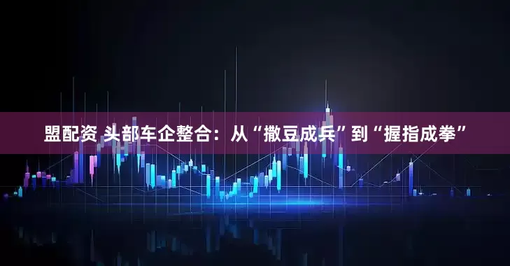 盟配资 头部车企整合：从“撒豆成兵”到“握指成拳”