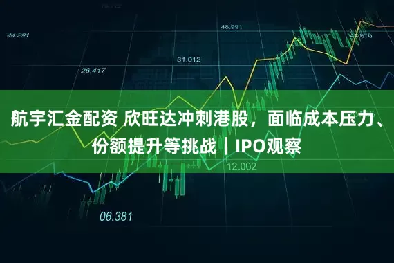 航宇汇金配资 欣旺达冲刺港股，面临成本压力、份额提升等挑战｜IPO观察